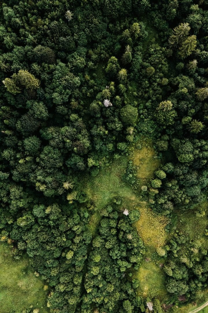 olena bohovyk mpkfmy xc a unsplash